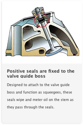 Positive seals Positive seals