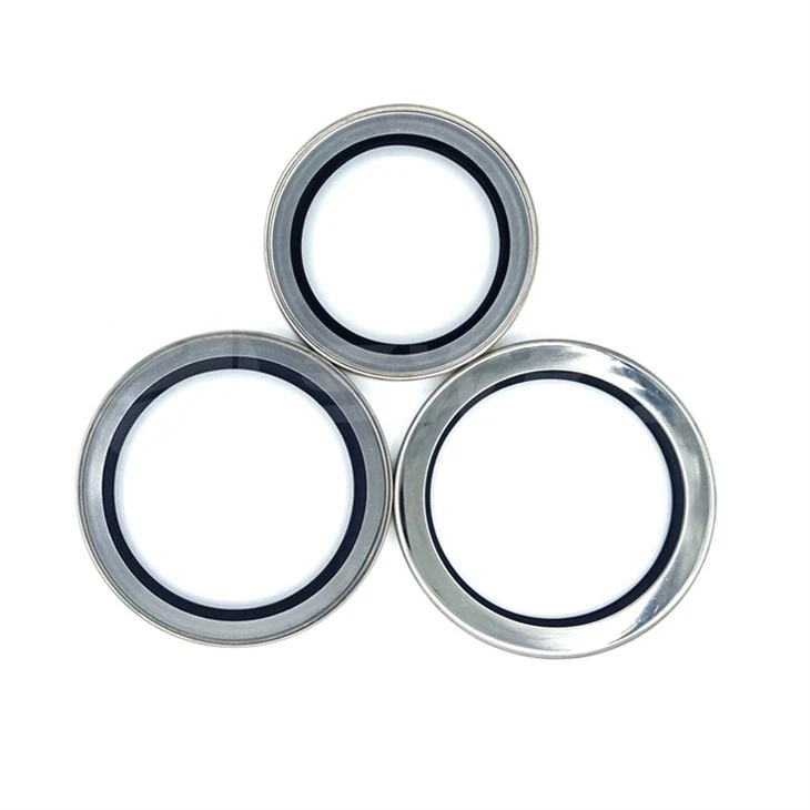 Double Lips PTFE Stainless Steel Oil Seals