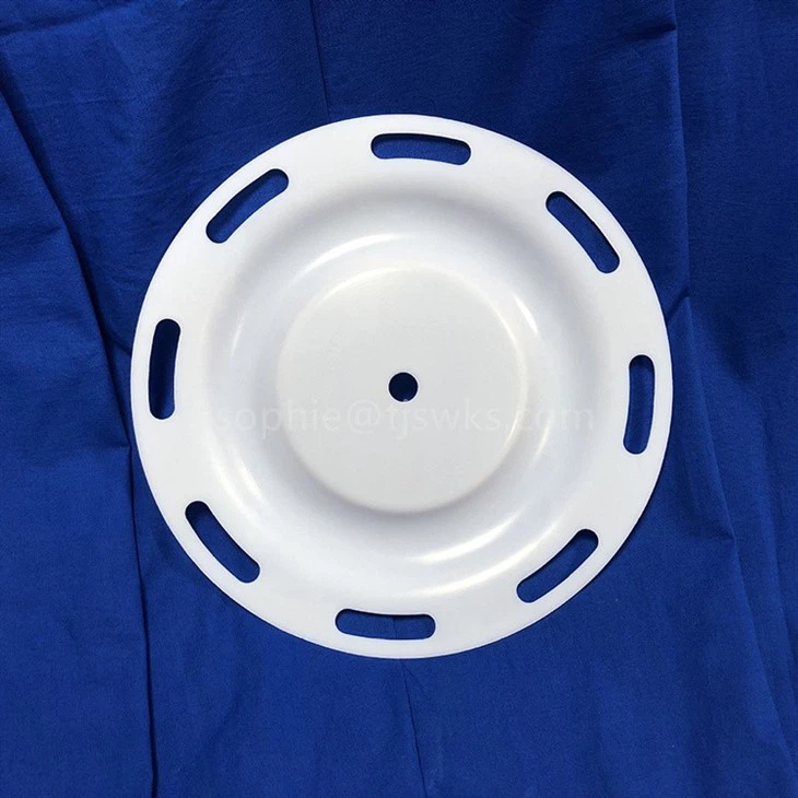 PTFE Membrane Pneumatic Diaphragm Pump Diaphragm