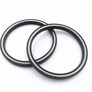 PTFE-Federdichtung